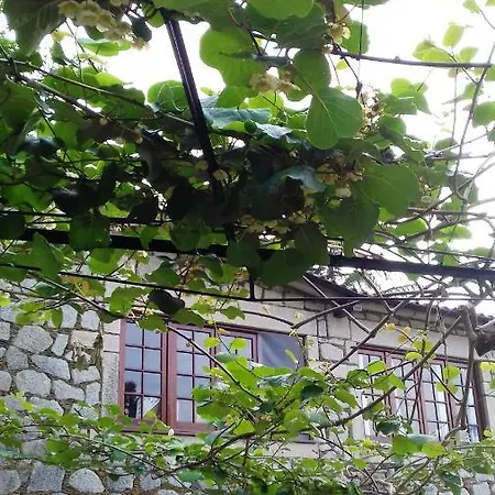 Casa de Férias 2 Bedrooms House With Sea View Shared Pool And Furnished Garden At Cristelo 1 Km Away From The